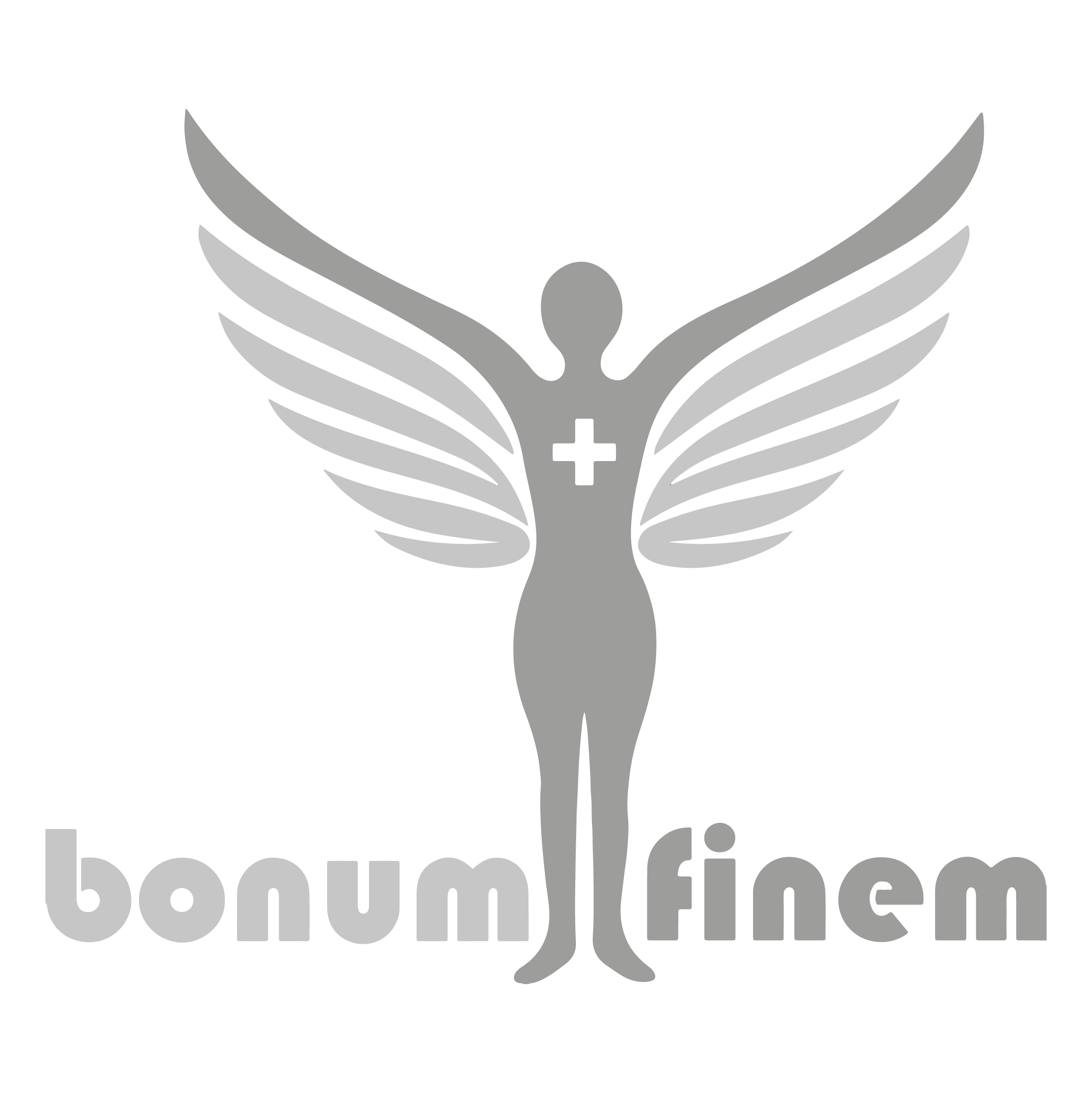 Bonum Finem